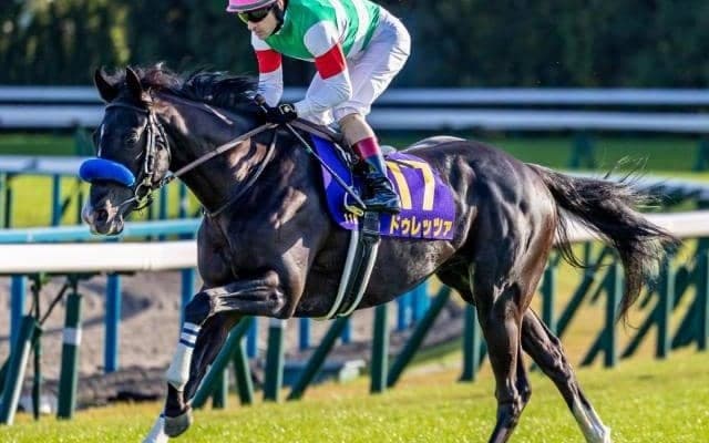京都大賞典は菊花賞馬が強い！ ドゥレッツァが2年ぶりの勝利なるか