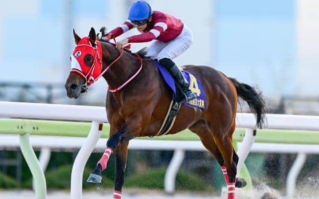 【船橋・日本テレビ盃注目馬】国内外のダート大舞台を目指す各馬が始動