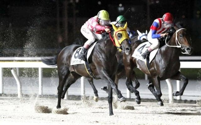 【YJSトライアル船橋】地方・山本大翔とJRA・横山琉人が白星発進