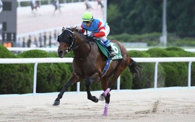 【YJSトライアル佐賀】松本一心＆青海大樹が主役、西日本地区ポイント争い激化