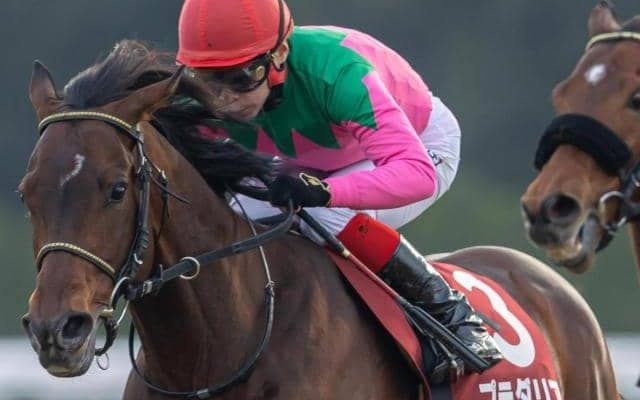 【京都大賞典】史上2頭目の偉業に挑戦 プラダリアが復活のGII・4勝目なるか