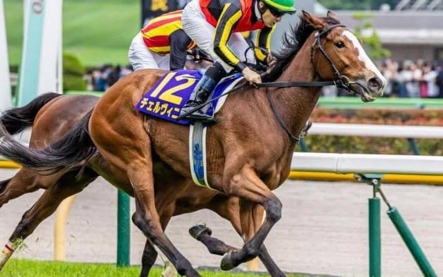 【毎日王冠】オークス馬が勝てば69年ぶり チェルヴィニアが完全復活なるか