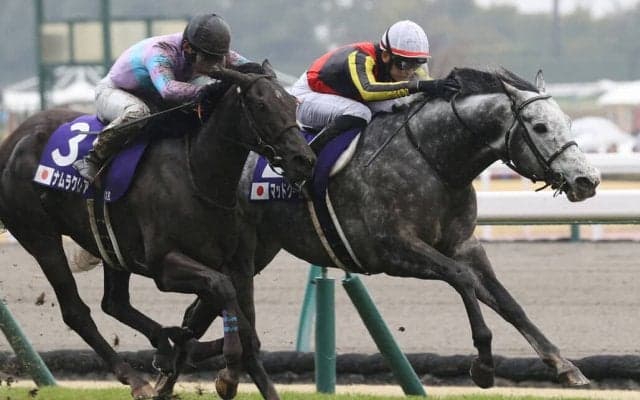 マッドクールが引退…種牡馬入り