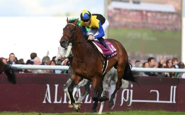 前哨戦を制し凱旋門賞に挑んだ馬たち 海外馬券発売第1号となった16年ダービー馬マカヒキの挑戦