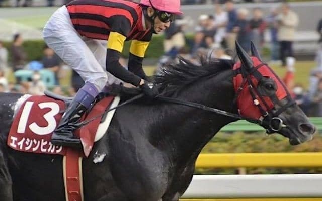 マグナーテン以来の毎日王冠逃げ切りV エイシンヒカリの快走から10年