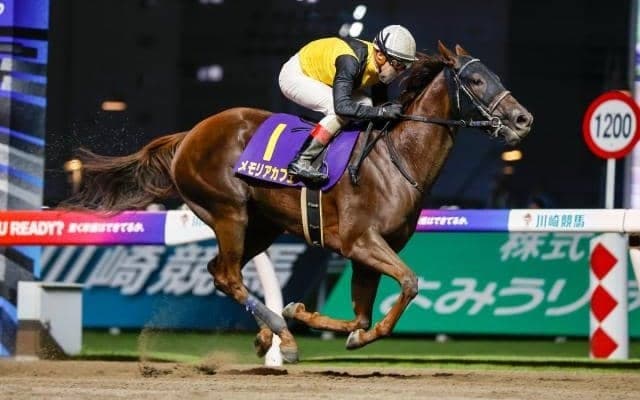 【船橋・マリーンC注目馬】関東オークス圧勝のメモリアカフェ 秋も実力は健在か