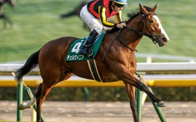 【毎日王冠出走馬・騎手確定】サトノシャイニング＆武豊騎手、チェルヴィニア＆戸崎圭太騎手など11頭