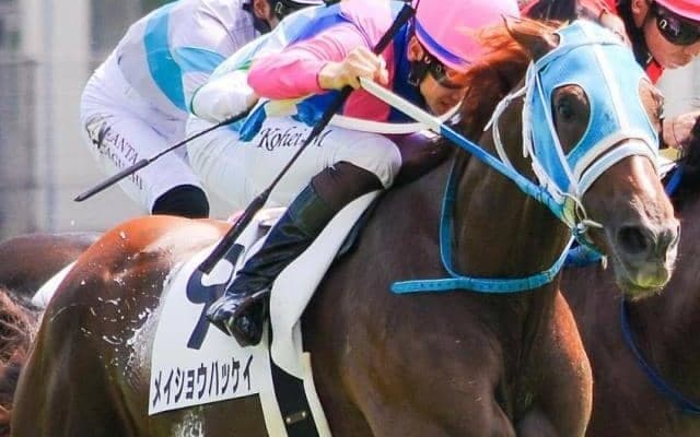 【りんどう賞】松本好雄オーナーがJRA通算2000勝を達成したメイショウハッケイ 武豊騎手と初コンビだ