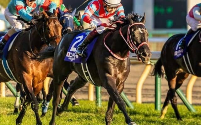 いとこは名馬コントレイル ラコンチャビエンがデビュー勝ち狙う