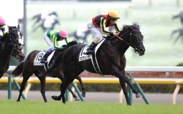 【凱旋門賞】ダービー馬・クロワデュノールは17番ゲートから