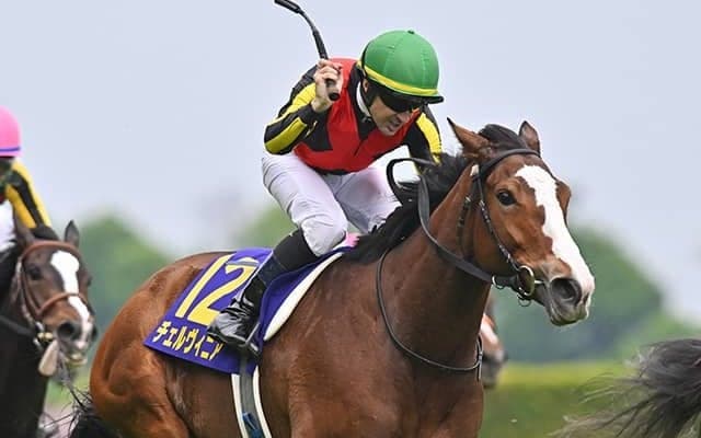 【毎日王冠枠順確定】チェルヴィニアは6枠6番、サトノシャイニングは8枠10番