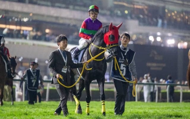 【東京盃】クロジシジョーなどJRA馬5頭