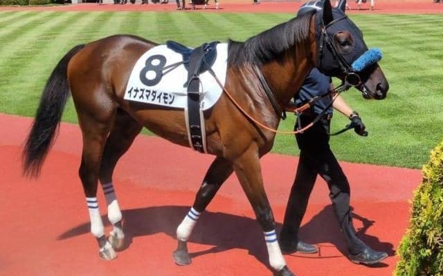 「ウマ娘」藤田晋オーナーの1億円馬 イナズマダイモンが初勝利なるか