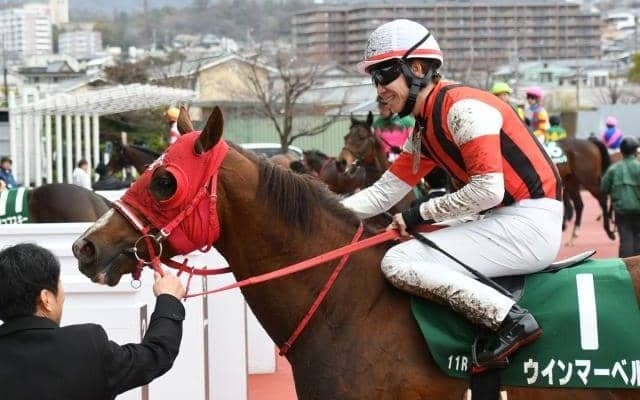 【スワンS想定馬・騎手】ウインマーベル、アドマイヤズームなど20頭