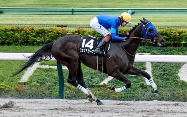 【今日の注目ポイント】東京でグリーンチャンネルCと京都でオパールS