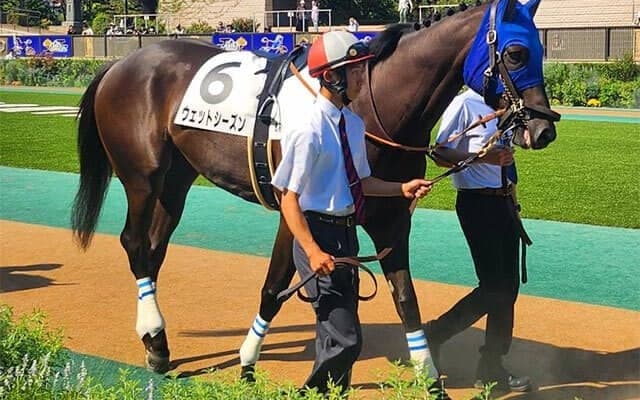 【グリーンチャンネルC】ウェットシーズンが3連勝でオープン初勝利なるか