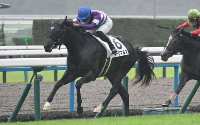 【京都5R新馬戦結果】エピファネイア産駒ダークマルスが押し切り新馬勝ち
