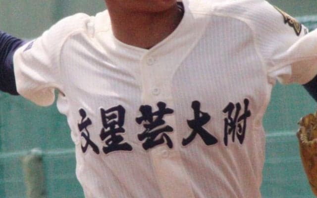 文星芸大付が2年ぶり、佐野日大が2年連続の関東切符！秋季栃木県大会【25年秋高校野球】