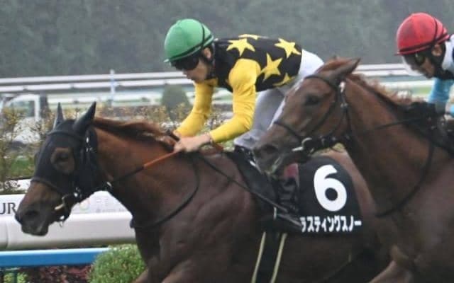 【りんどう賞結果】唯一の関東馬ラスティングスノーが押し切りV