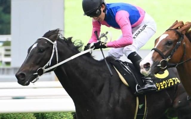 【オパールS結果】メイショウソラフネがゴール前の接戦を制す