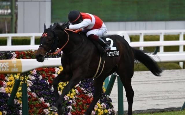 【京都大賞典予想】昨年は三連単141万馬券の大波乱！ 近走安定感十分も過去傾向から軽視したい人気馬とは