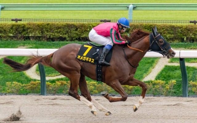 【グリーンチャンネルC】オメガギネスが同レース2勝目…豪快に突き抜ける