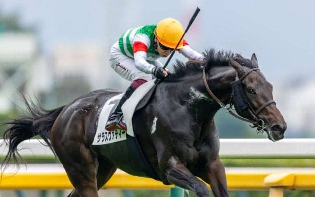 【東京7R】未勝利馬サラスヴァティーがライバルを完封