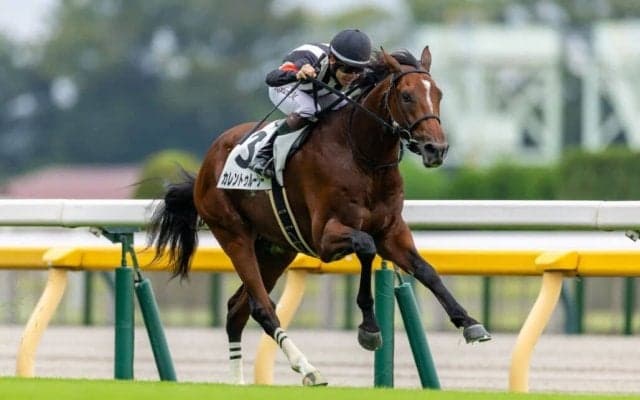 【新馬/東京5R】サングレーザー産駒 カレントゥルーシーがデビューV