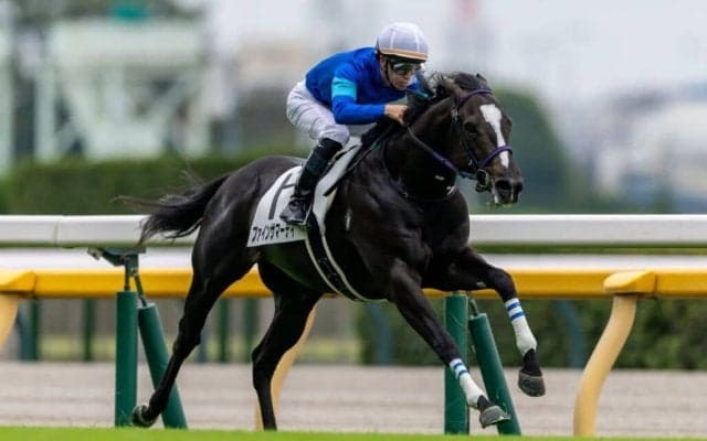 【新馬/東京3R】ファインニードル産駒 ファインサマーデイがデビューV