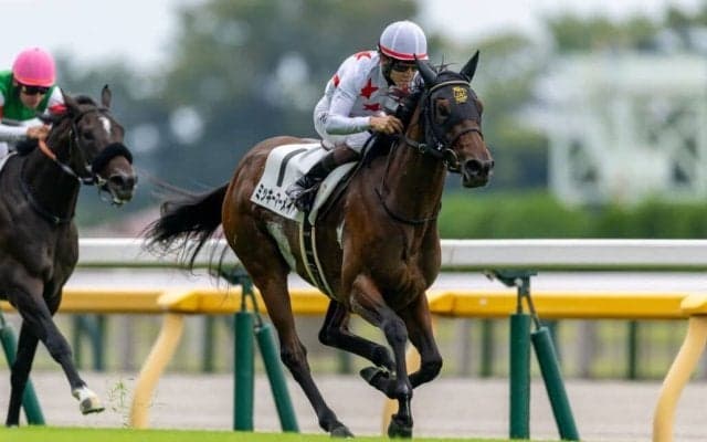 【東京2R】良血ミッキーマーメイドが初勝利