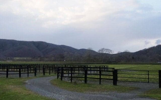 大雨被害のホースフレンドファーム…全30頭無事も自力での復旧は困難、代表「お力添えを」