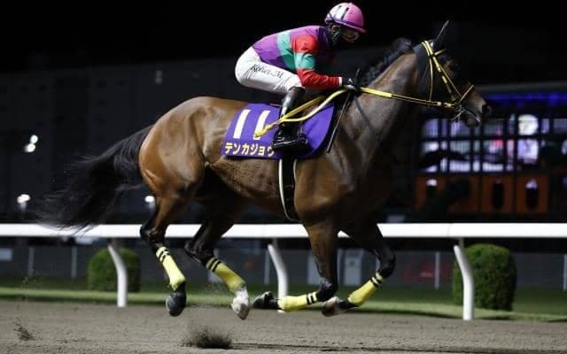 【大井・レディスプレリュード枠順】ダートグレード重賞3勝のテンカジョウは6枠7番