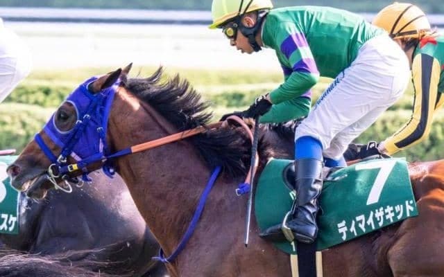 東京芝は決め手比べ 毎日王冠はディマイザキッドが大穴候補だ