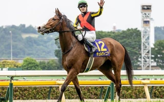 【今日の注目ポイント】毎日王冠と京都大賞典 深夜には凱旋門賞