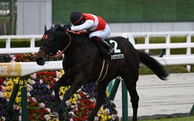 【京都大賞典予想】秋の大舞台を占う一戦 京都芝2400mは持続力と瞬発力がカギ