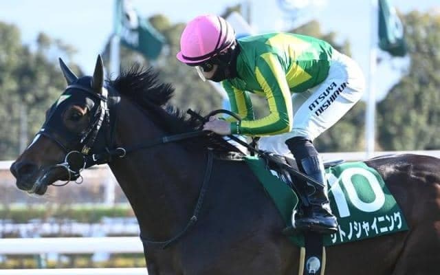 【毎日王冠予想】天皇賞(秋)やマイルCSの前哨戦 開幕週だけに「スピード」はポイント