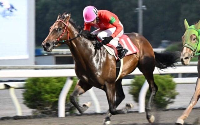 【高知・潮菊特別】2着続きに終止符！クスダマがデビュー5戦目の初白星