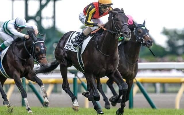 【凱旋門賞】悲願の初制覇へ日本馬3頭が挑む 昨年2着馬や“オークス三冠馬”など欧州勢も強力
