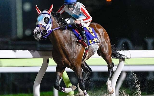 【大井・ジャパンダートクラシック枠順】ダート三冠がかかるナチュラルライズは8枠15番