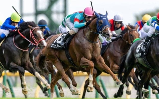 【tvk賞】1000万馬券飛び出す！大波乱の決着、単勝16番人気ジュドーがV