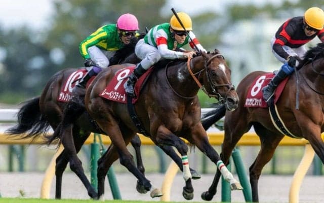 【毎日王冠】レーベンスティールが突き抜ける！サトノシャイニングは3着