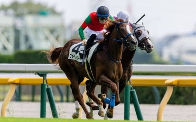 【東京3R】単勝16番人気フェーダーローターが波乱を演出