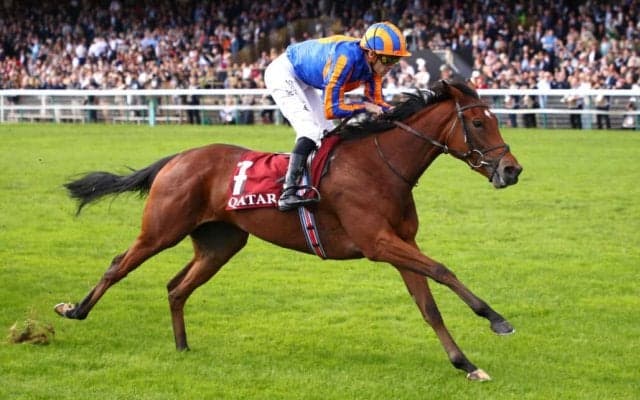 【仏マルセルブーサック賞】ダイヤモンドネックレスが2歳のチャンピオンに…エイダン・オブライエン管理馬