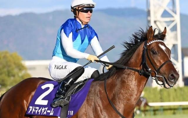 3日間開催にスワンSなど3重賞 地方では南部杯とJDクラシック/今週の競馬界の見どころ