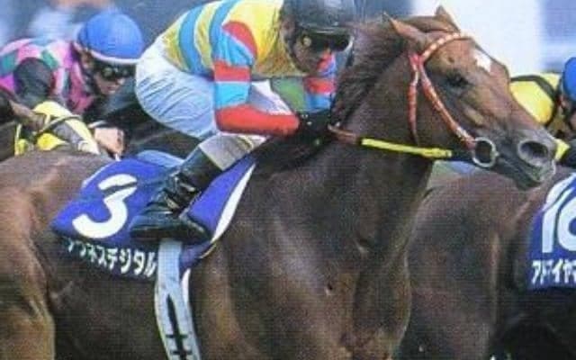 「デジタルの日」にアグネスデジタルのローテを振り返る