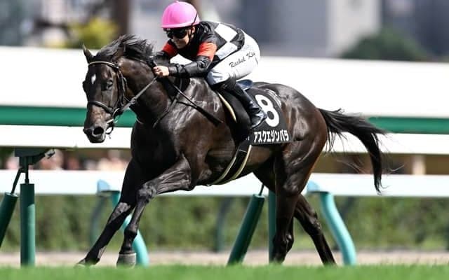 【サウジアラビアRC見どころ】ポテンシャル高いアスクエジンバラ