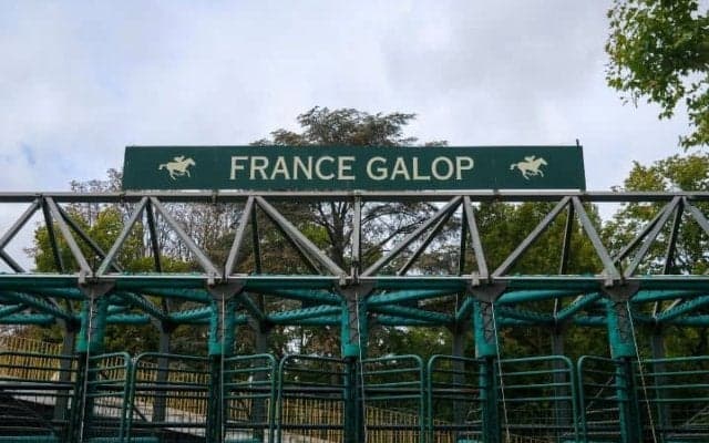 「このレベルでやれることを証明した」ビザンチンドリーム見せ場作った5着　日本馬は今年も悲願初Vに届かず【凱旋門賞】