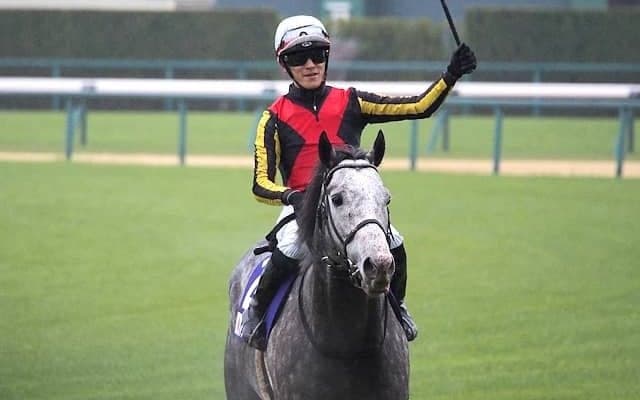 【先週のJRA抹消馬】昨年の高松宮記念覇者マッドクール、23年の紅梅S勝ち馬ダルエスサラームなど