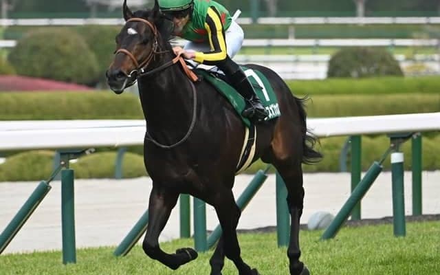 【AI予想・スワンS】直線の距離に惑わされないことが重要!? 本命候補は近走の敗戦から巻き返しに燃える3頭