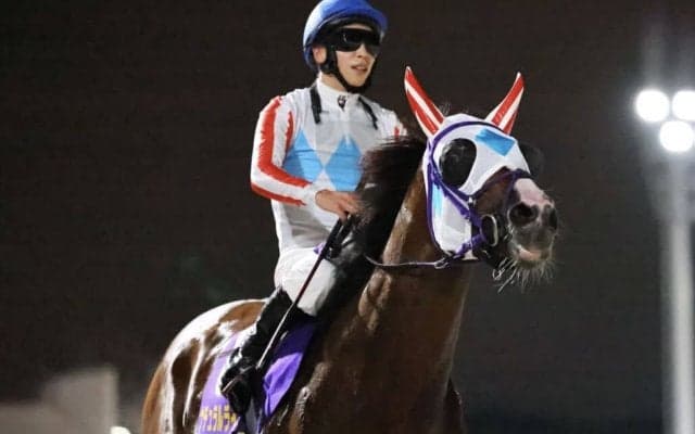 【JDC】三冠がかかるナチュラルライズは8枠15番へ